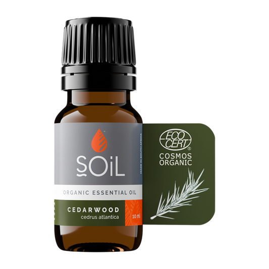 Cedarwood oil 10ml (Cedrus Atlantica)