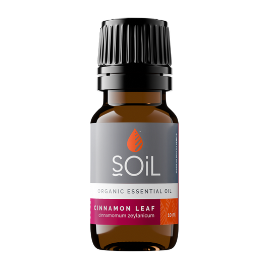 Cinnamon Leaf oil 10ml (Cinnamomum zeylanicum)