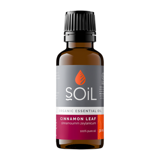 Cinnamon Leaf oil 30ml (Cinnamomum zeylanicum)