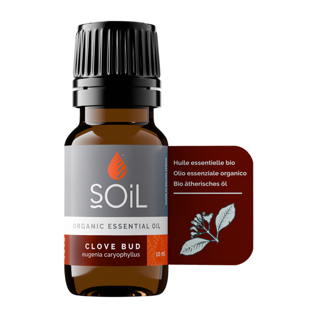 Clove Bud oil 10ml (Syzygium Aromaticum Eugenia)