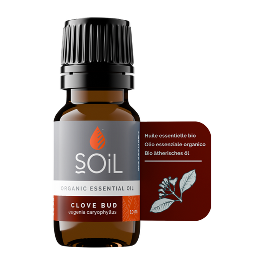 Clove Bud oil 10ml (Syzygium Aromaticum Eugenia)
