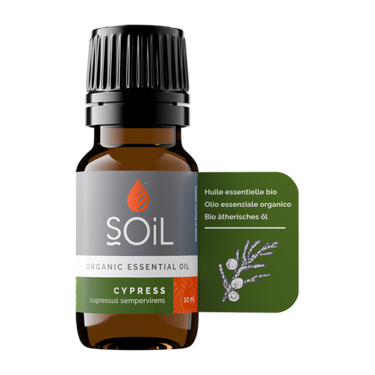 Cypress oil 10ml (Cupressus Sempervirens)