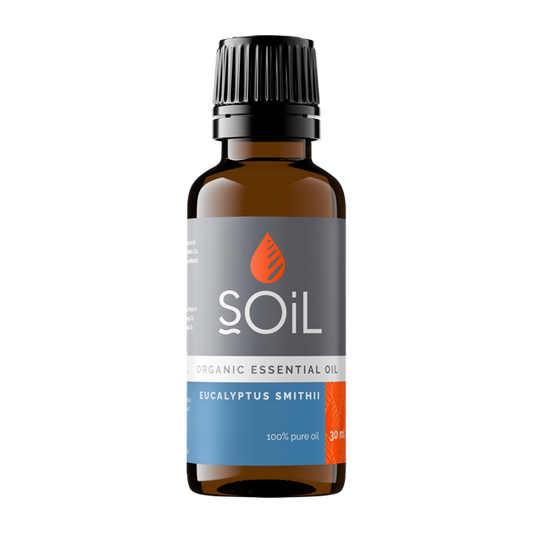 Eucalyptus oil 10ml(Eucalyptus Smithii)