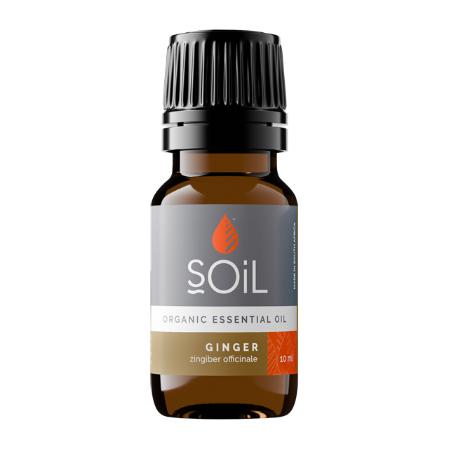 Ginger oil 10ml (Zingiber Officinale)