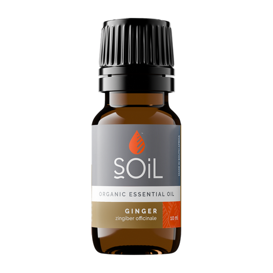 Ginger oil 10ml (Zingiber Officinale)