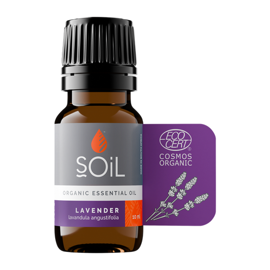 Lavender oil 10ml (Lavandula Angustifolia)