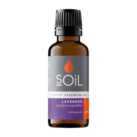 Lavender oil 30ml (Lavandula Angustifolia)