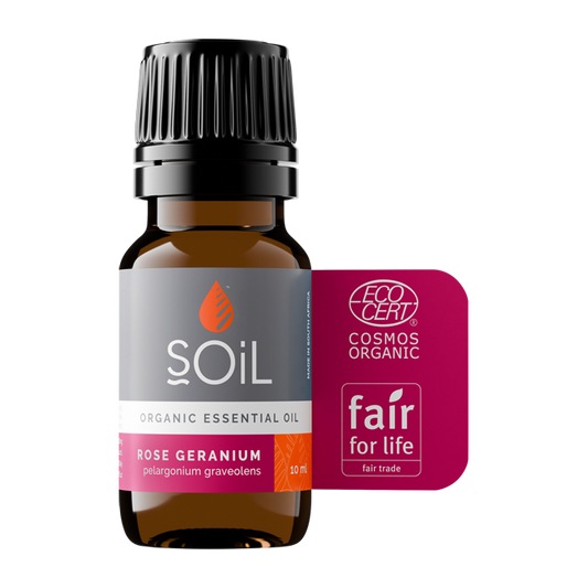 Rose Geranium oil 10ml (Pelargonium Graveolens)*^