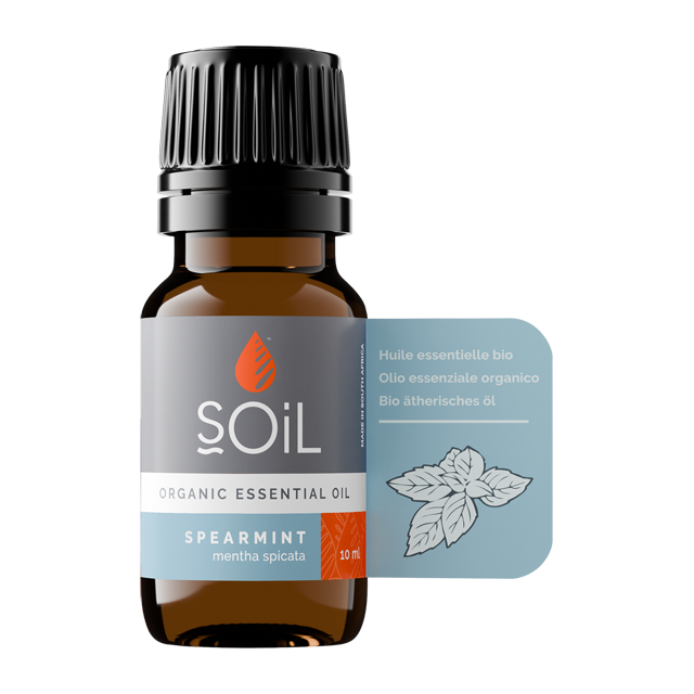 Spearmint oil 10ml (Mentha Spicata)