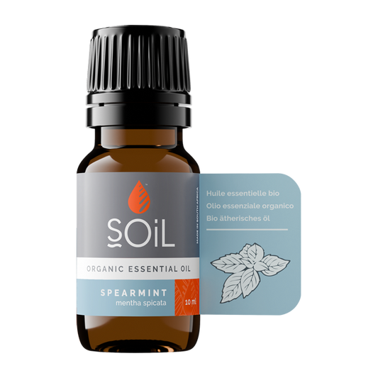 Spearmint oil 10ml (Mentha Spicata)