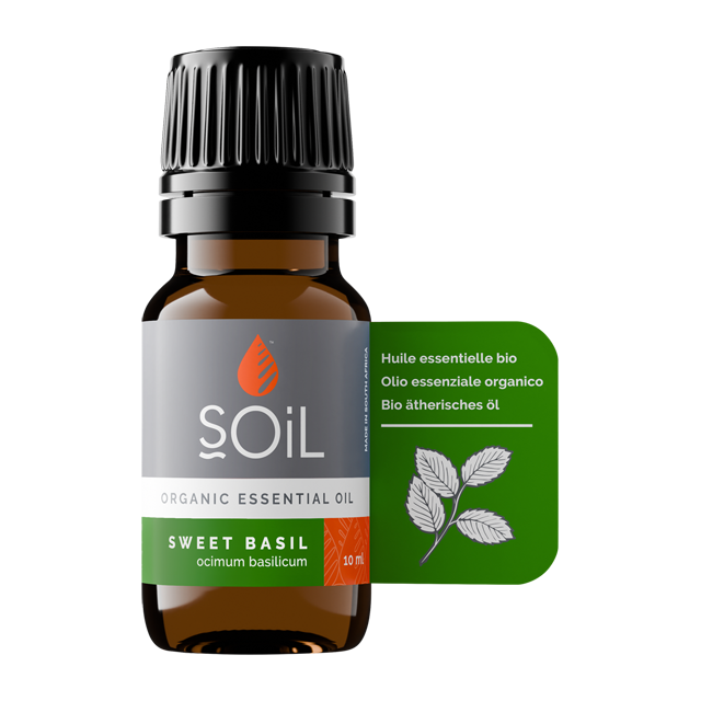 Basil oil (Ocimum Basilicum)