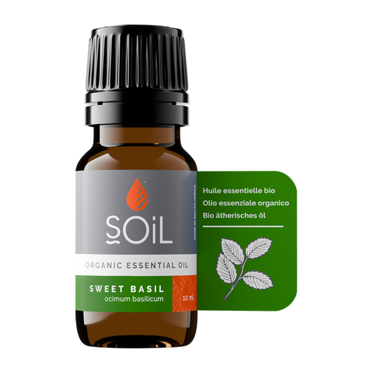 Basil oil (Ocimum Basilicum)