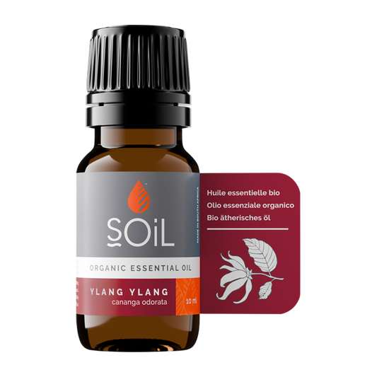 Ylang Ylang oil 10ml (Cananga Odorata)